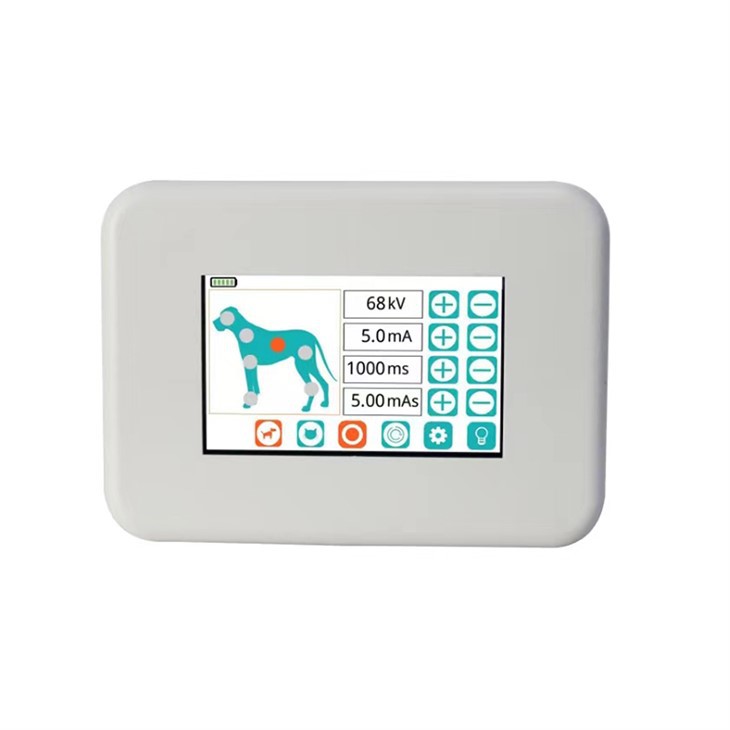 Handheld High-Frequency X-ray Machine