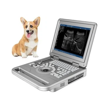 B/W 초음파 기계 FTL-UTS20